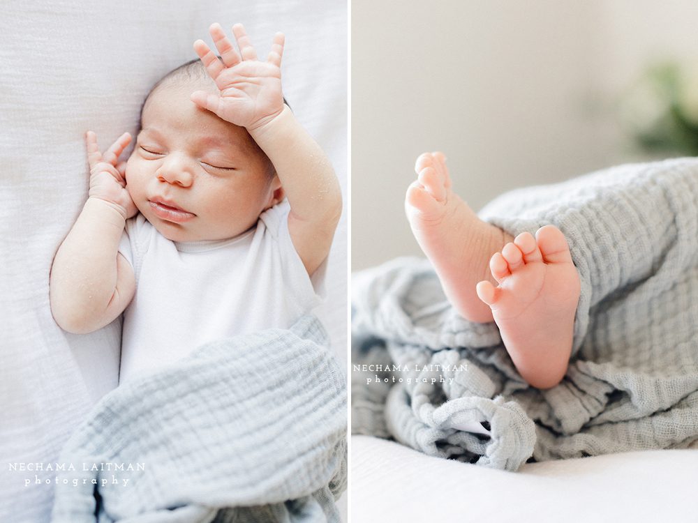 newborn lifestyle photographer in forest hill and the Greater Toronto Area